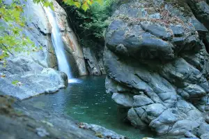 Jak Poznat Zubní Kaz